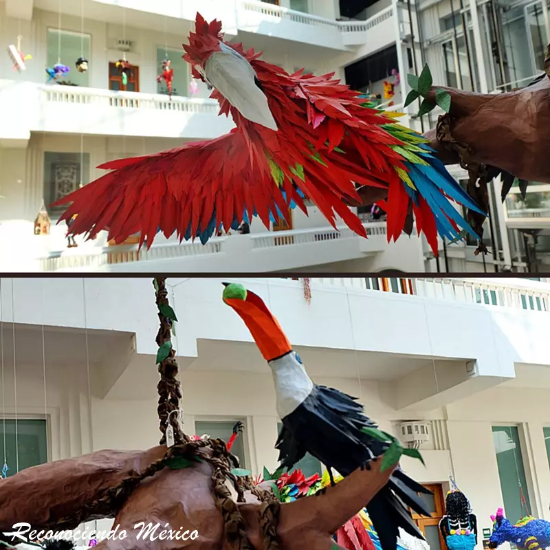 tucan y guacamaya en el concurso de piñatas del map 2023